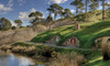Gen. Admission Hobbiton Movie Set & Farm Tour